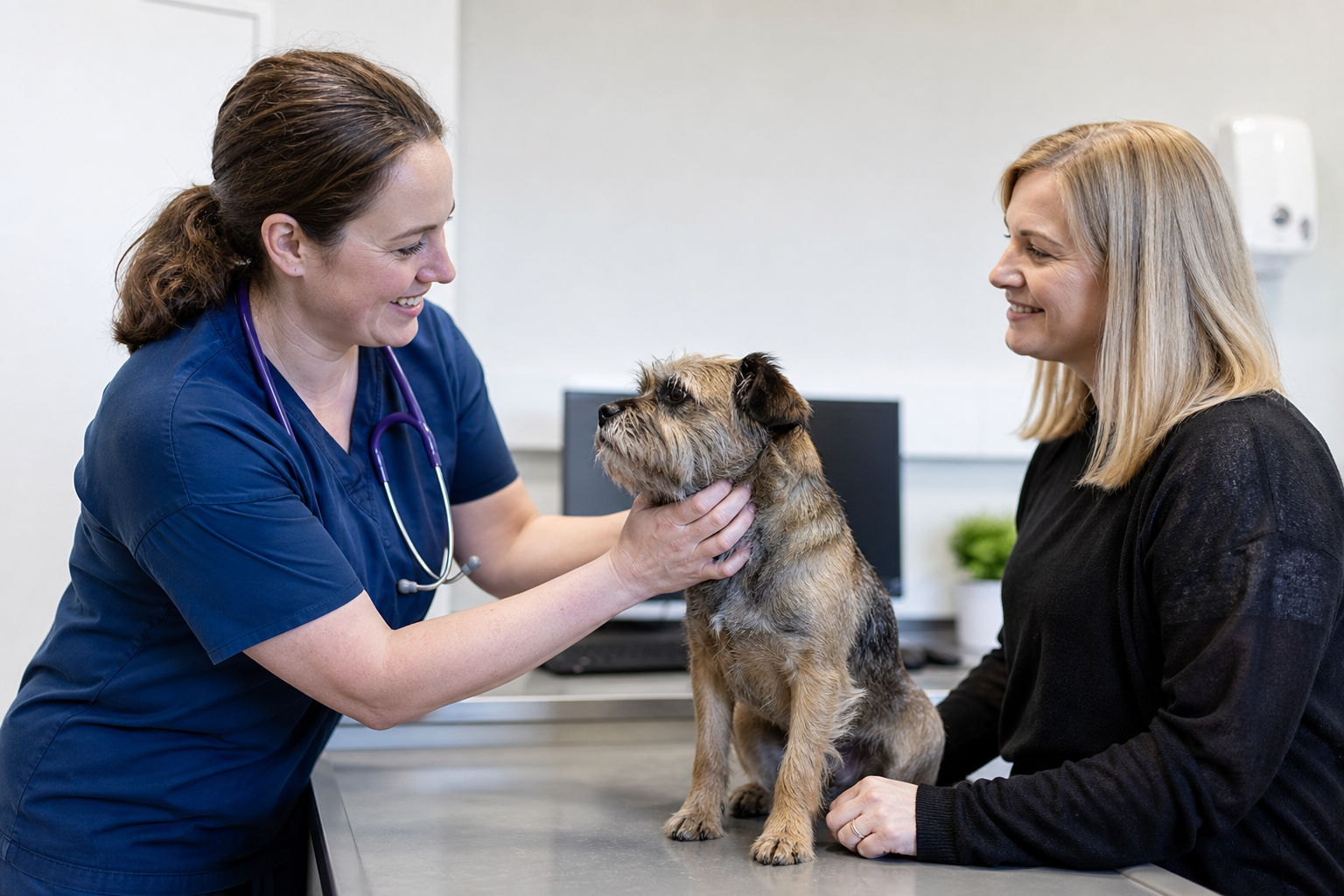 The Role of Preventative Care in Pet Longevity