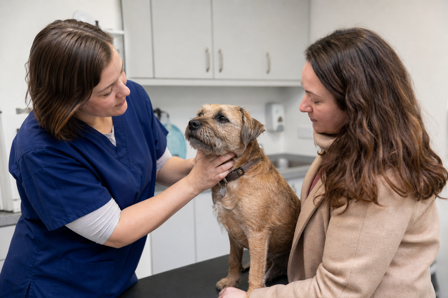 Common Pet Health Problems in Lewisham